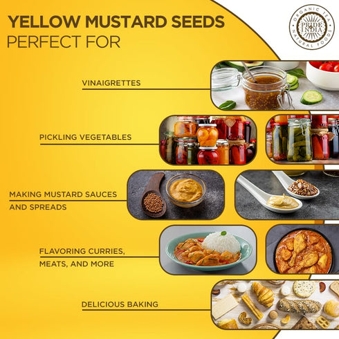 PACK 6 1.5 (Pack 1) Pride Of India - of - Yellow Mustard Seed Whole Pungent & Aromatic Gourmet Indian Spice Add