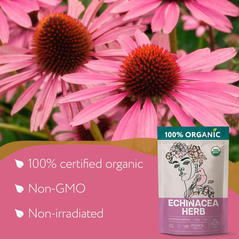 (4 oz.) Echinacea Tea Loose Leaf - Organic Echinacea Herb - Equinacea Organica - Great for Seasonal Changes - Supports