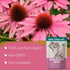 (4 oz.) Echinacea Tea Loose Leaf - Organic Echinacea Herb - Equinacea Organica - Great for Seasonal Changes - Supports
