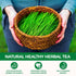 WOTIHA Horsetail 19.2oz Dried Herb - Natural Silica for Hair, Skin & Nails Support - Cola de Caballo Tea - Cut & Sifted