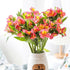 30 stem random mix Rainbow Alstroemeria Fresh Cut Flowers Gift for Home Birthday Anniversary Get Well Sympathy