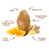 1oz, 8 Pack Earthside Farms Orange Ginger Almonds Low Sugar, Keto-Friendly Candied Almonds Gluten-Free Vegan Snack