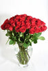 Cassiolina (24) Fresh Cut Freedom Red Roses Bouquet, Premium Long Stem Red Roses, Fresh Cut Roses for Valentines Day