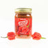 12 Pepper Joes Carolina Reaper Salsa Dangerously Delicious Superhot Salsa with Worlds Hottest Pepper Ounce Jar of Spicy