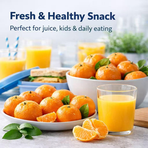 Generic 3 lb Fresh Clementines Mandarin Oranges, Bag Sweet, Seedless & Easy Peel Citrus Fruit