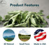 Leaves-100% Dried-20-25 CurryForest Premium Dried Curry Natural, Pesticide-Free Whole Leaves, USA Grown, Air g