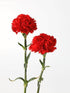 38 Red Carnation Flowers Hydroponic Flower Arrangement Mothers Day Gift Home Decor Birthday Anniversary Healing