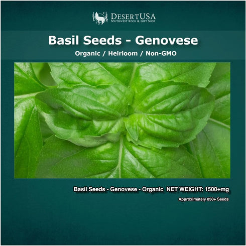 Organic Basil Seeds - Genovese - Ocimum basilicum - 1550+mg, 860+ Herb Seeds for Indoor or Outdoor Growing