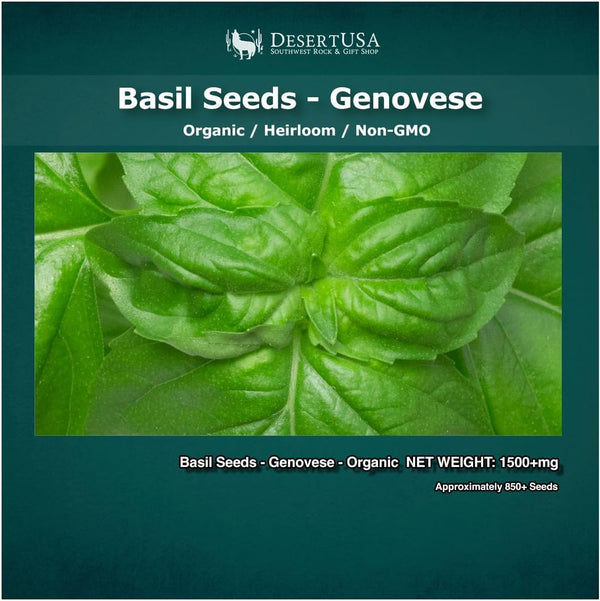 Organic Basil Seeds - Genovese - Ocimum basilicum - 1550+mg, 860+ Herb Seeds for Indoor or Outdoor Growing