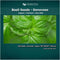 Organic Basil Seeds - Genovese - Ocimum basilicum - 1550+mg, 860+ Herb Seeds for Indoor or Outdoor Growing