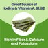 25 Count 3s KIM'S TABLE- Sea Salt - - Organic Roasted Seaweed Sheets - Keto Vegan Gluten Free - Great Source of Iodine