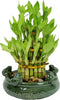 Athenas Garden Lucky Bamboo Indoor Live Plant 3 Tier Tower Fresh Plant
