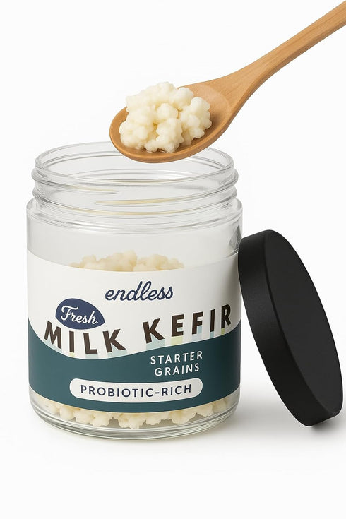 1224 Cultures for Health ENDLESS Milk Kefir Grains | Live Starter Culture | Make Tangy, Probiotic Kefir in Hours |