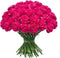 FlowerPrime 50 Hot Pink Carnations - Fresh Natural Cut Flowers