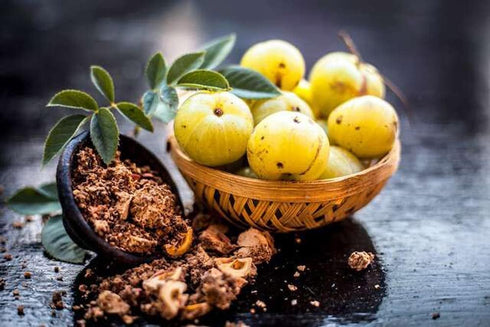 Amla Amla Immunity Amla (500grams) AnNafi Dried Fruit | Indian Gooseberry | Berry High Content of Vitamin C Natural
