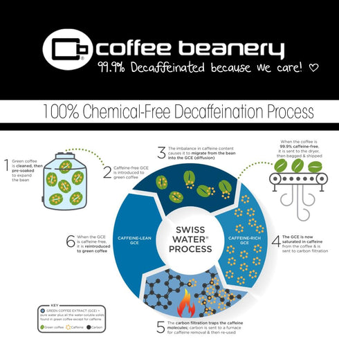 12oz 100% Chocolate Peanut Butter Cup Decaf Coffee by Coffee Beanery | Flavored Decaf Coffee Ground Medium Roast Coffee