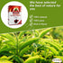 Generic (3.52 oz 100 RABEA Extra Strong Black Tea Pure Oriental Teas Natural Traditional Arabic Arabian Saudi Arabia