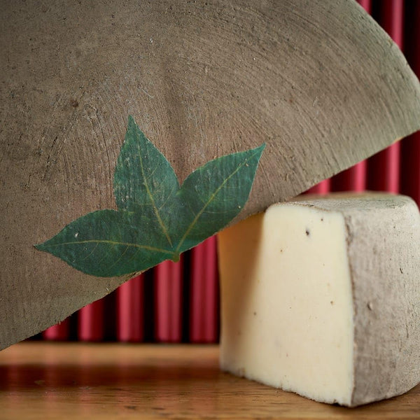 Italian Cheese Sottocenere al Tartufo w/Truffles 1 lb.