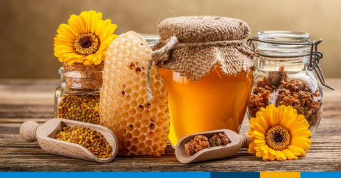 500g/1.1lbs Airborne (New Zealand) Multifloral Honey