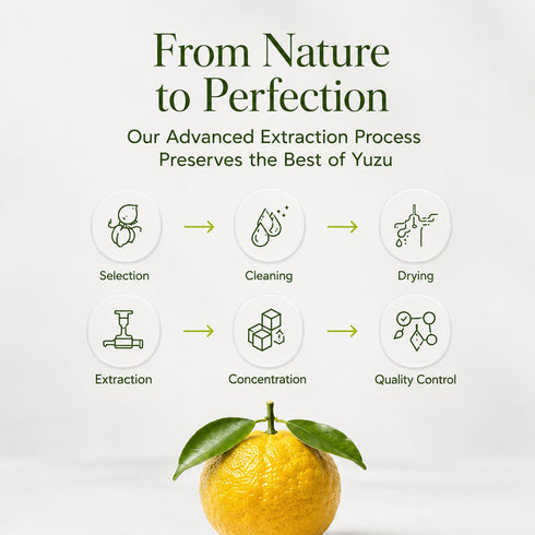 2.82oz, 10:1 Yuzu Extract Thick Liquid Ultra Concentrated Japanese Citrus Flavoring, Pure Yuzu Extract for Baking