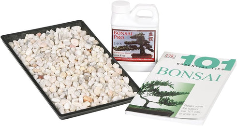 Brussel's Bonsai Starter Success Kit with 11" Humidity Tray & Deco Rocks
