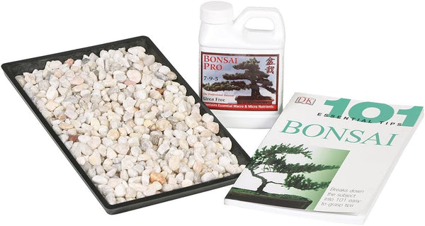 Brussel's Bonsai Starter Success Kit with 11" Humidity Tray & Deco Rocks