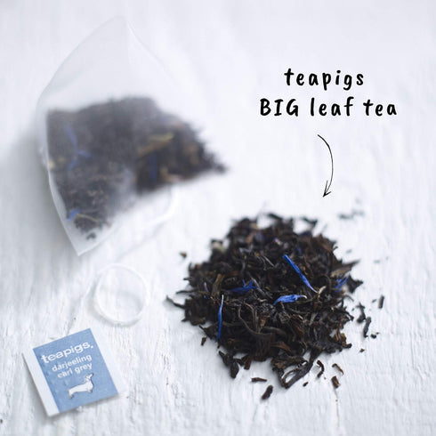 50 Count (1 Pack 50 Teapigs Darjeeling Earl Grey Tea Bags Made With Whole Tea Leaves, Natural Ingredients, Non-GMO