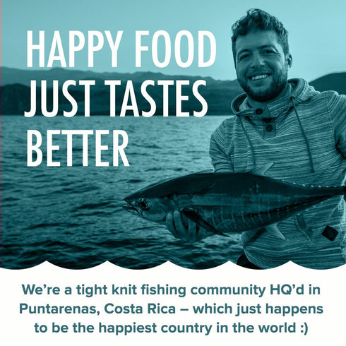 (Pack 6, Tonnino Tuna Yellowfin Fillets of Spicy Thai Chili in Olive Oil)