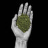 30g (1.06oz) Dried Mint Leaves (Mint Flakes) | Natural Additive-Free Spice | Refreshing Flavor for Tea, Soup, Yogurt