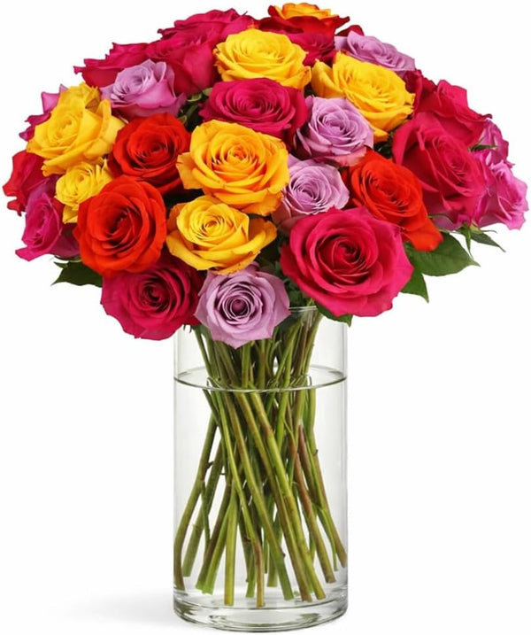 BloomsyBox MultiColored Real Roses Bouquet - Two Dozen Rainbow Roses, 25 Long