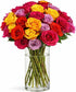 BloomsyBox MultiColored Real Roses Bouquet - Two Dozen Rainbow Roses, 25 Long
