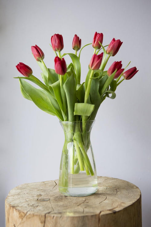 10 KaBloom - Red Tulips with vase - Fresh Flowers for Birthday, Valentine's & Mother's Day