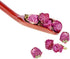 Health Embassy Red Clover Flower, Trifolium Pratense L, 100% Natural, 50g