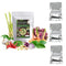 Lamoone Green Curry Cube Authentic Thai Green Curry Paste Cube, Ready-to-Use Instant Curry
