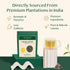 (50+ 3.53 Oz) VAHDAM, Himalayan Green Tea Leaves Cups, Non GMO, Gluten Free | High Elevation Grown Green Tea Leaves