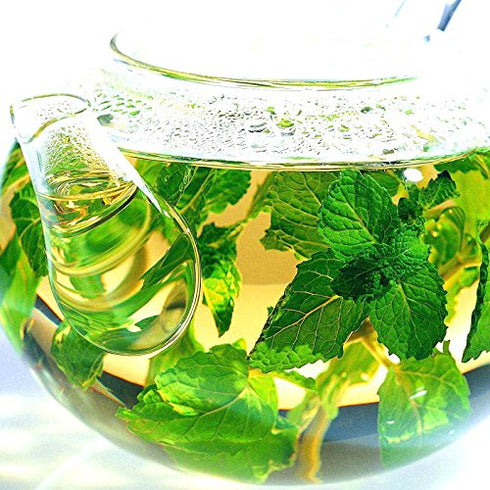TastePadThai (14 oz.) Fresh Mint Leaves