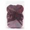 iGAOZM Dried Dragon Fruit Slices,3.52oz/100g,Dehydrated Dry Dragon Fruit Chips, No Sugar Added,Soft and