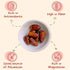 1 (7 Packs) Packs Sunny Fruit Organic Dried Pitted Deglet Nour Dates - Bag Individual Portion | No Preservatives, No