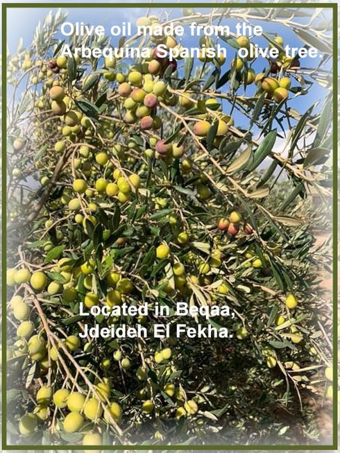 500 ML C Bio Jaoude Organic Extra Virgin Award Winning Olive Oil Imported from Lebanon