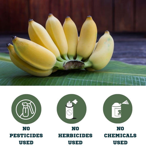 4 OZ Organic Banana Peel Powder - All Natural One Ingredient
