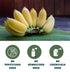 16 OZ- Pack Organic Banana Peel Powder All Natural One Ingredient- Value