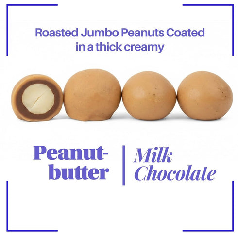 1 SweetGourmet Peanut Butter Chocolaty, Double Dipped Covered Peanuts, Bulk Candy Snack, Trans Fat Free, Pound