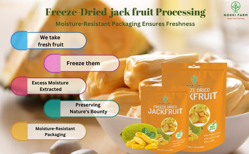 1.76 Oz NOKKI FARM Freeze Dried Jackfruit - Healthy & Exotic Tropical Superfood Snacks, No Added Sugar