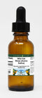 Terravita Wild Oat Straw (Avena Sativa) Glycerite Liquid Extract (1:5) - No Flavor