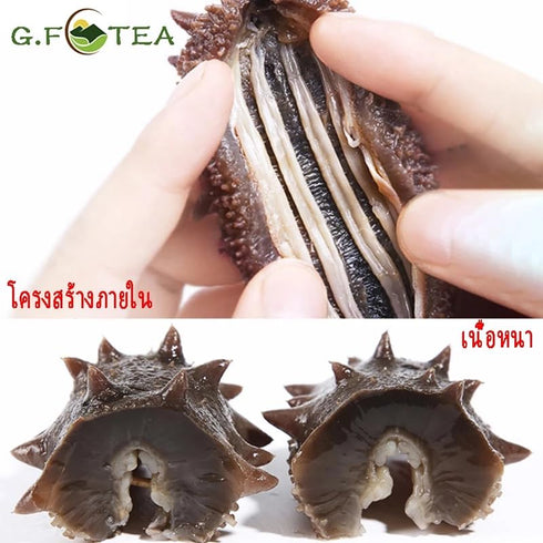 Generic 100g Premium Dried Sea Cucumber | Selected Grade A Gourmet Seafood | Traditional Asian Cooking Ingredient |