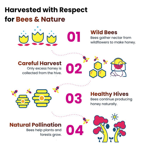 100% Pack 1,16 oz Heavenly Organics Organic Raw Honey | Wild Forest Honey from Himalayan Foothills | Unheated