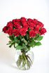 Cassiolina (24) Fresh Cut Freedom Red Roses Bouquet, Premium Long Stem Red Roses, Fresh Cut Roses for Valentines Day