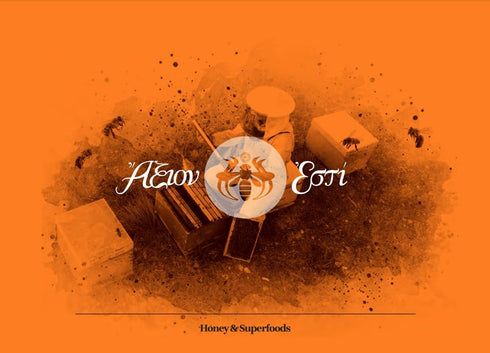 Axion Esti 450g Organic Fir Golden Honey imported from Greece