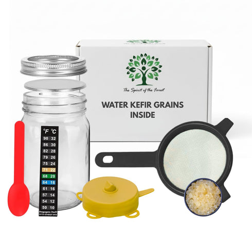 The Spirit Of The Forest Water Kefir Starter Set Fermented Probiotic Drink