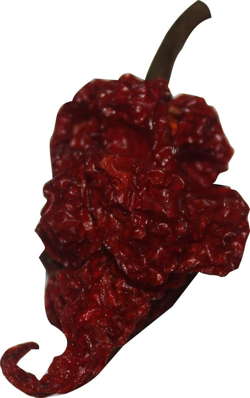 Wicked Reaper Wicked Tickle Carolina Reaper Chili Peppers, World's Hottest Dried Spice 10 Pack + 2 Free